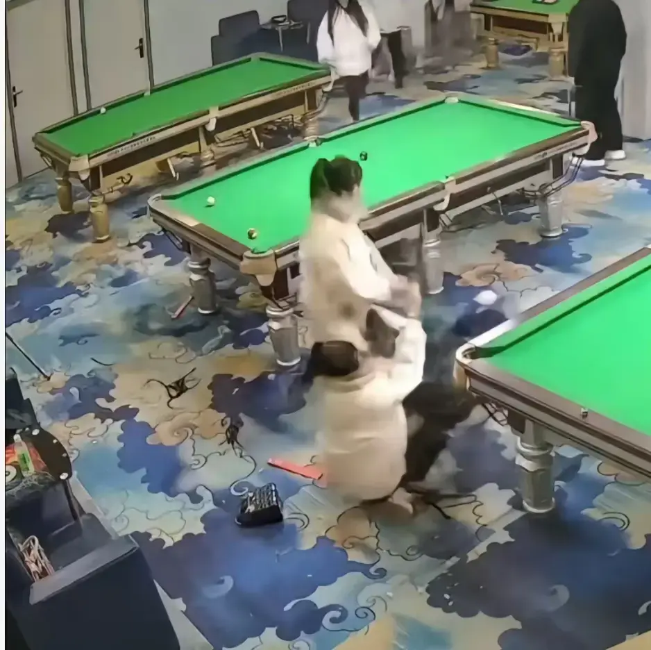 《台球厅三狠人》太炸裂！精神少女在台球厅互撕，真人互锤事件完整视频全网最新最全无删减，免费分享速存！
