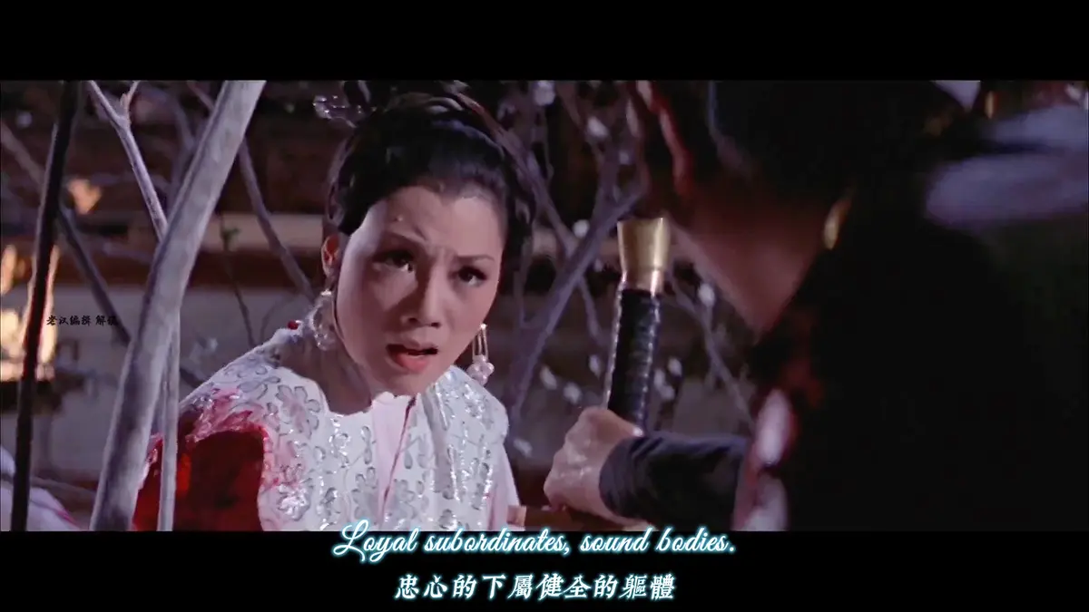 香港电影《爱奴》HD高清无删减版免费观看-香港剧情片《爱奴》全片完整版在线播放-VS影院