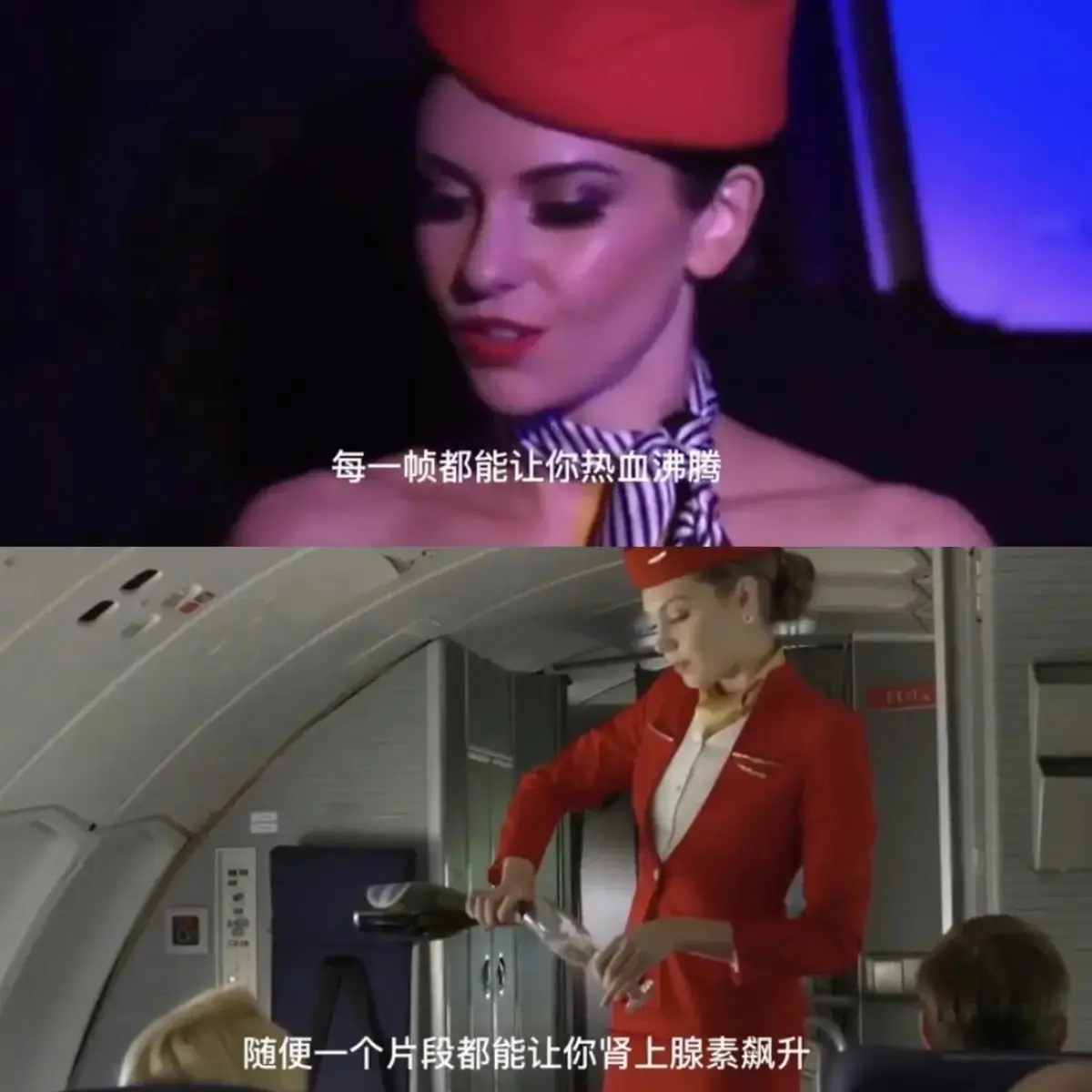 2019满天星法版啄木鸟经典之作《法国空姐》HD未删减国语中字-流畅不卡顿