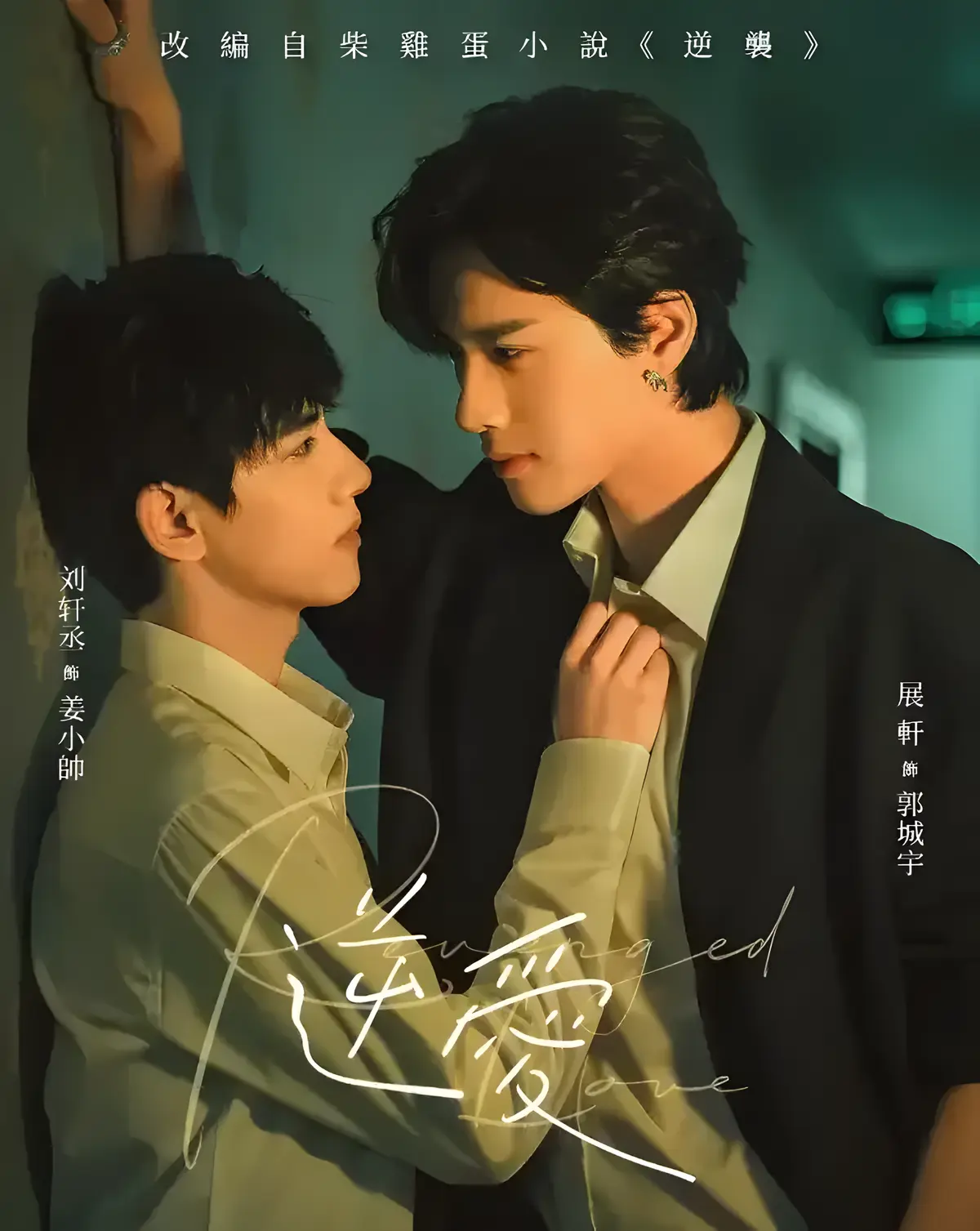 2025双男主《逆袭》全集免费观看 - 爱情国剧《逆爱》高清在线播放 - VS影院最新资源