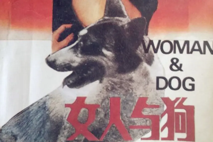 《女人与狗》全季免费在线观看_欧美电影《女人与狗》HD 1080P蓝光高清免费播放