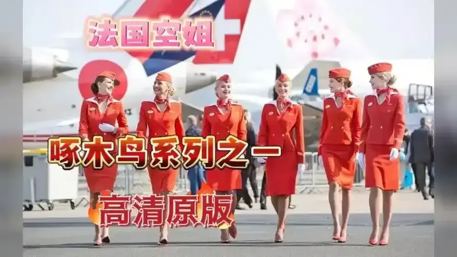 2024必看《法国空姐》，原版无删国语配音电影正片 - 法国空姐精彩内容不容错过