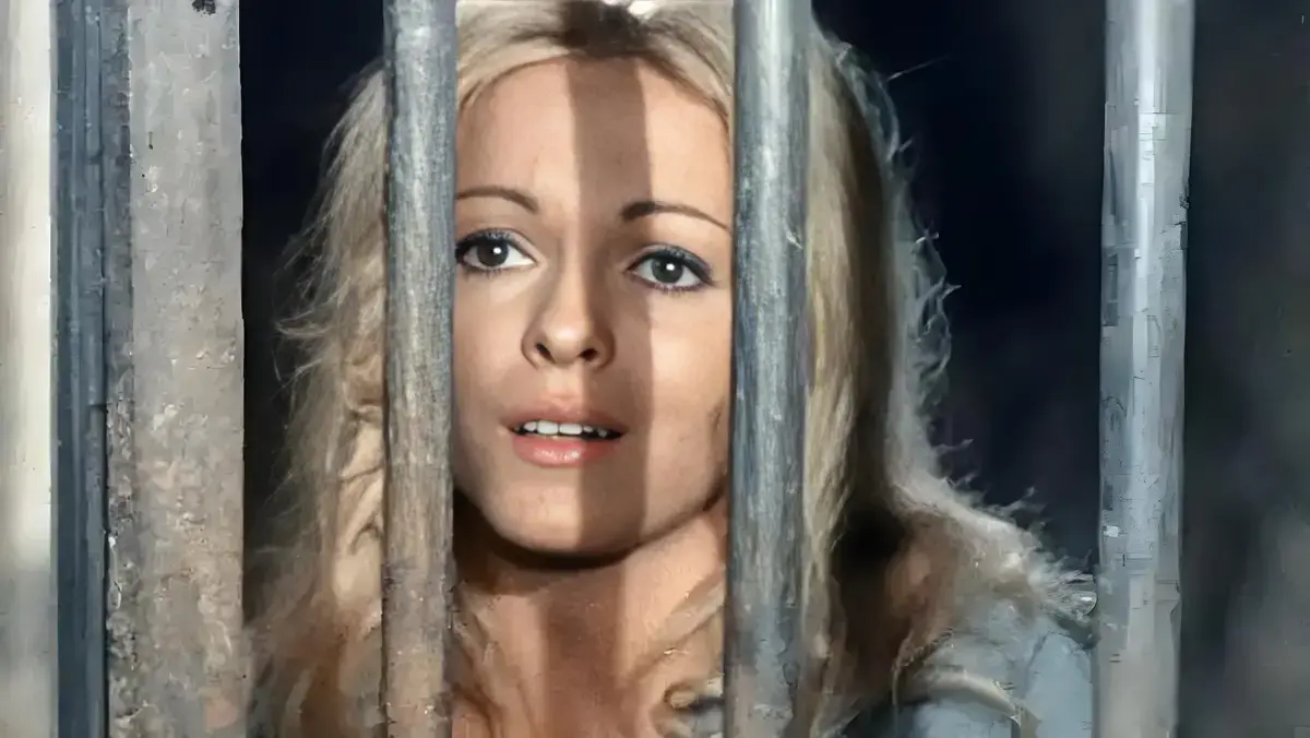 《女子监狱》相关资源图片