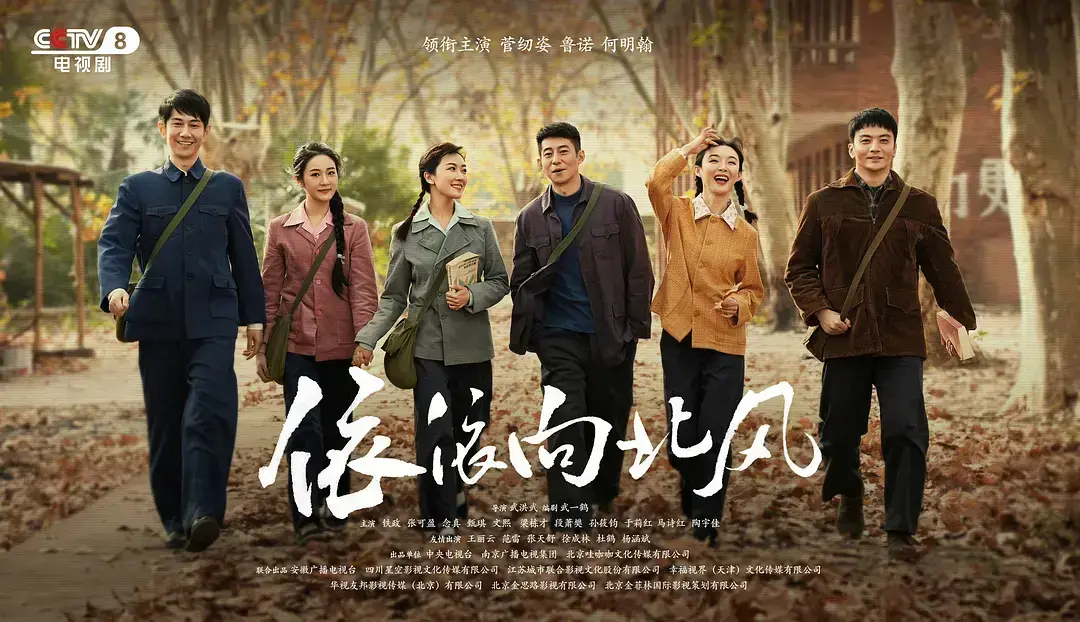 大陆国产剧《依依向北风》网盘观看资源 | 《依依向北风》高清全集免费在线看 - 未删减无广告手机端完整版播放