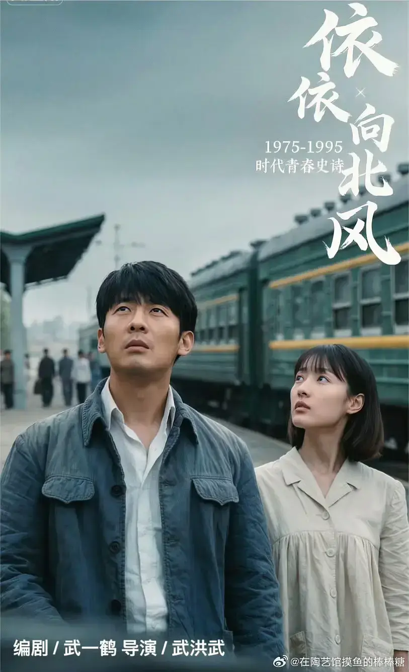 《依依向北风》中文版高清全集无删减 - 免费在线看无广告网盘资源 - 2025菅纫姿主演《依依向北风》国剧在线看