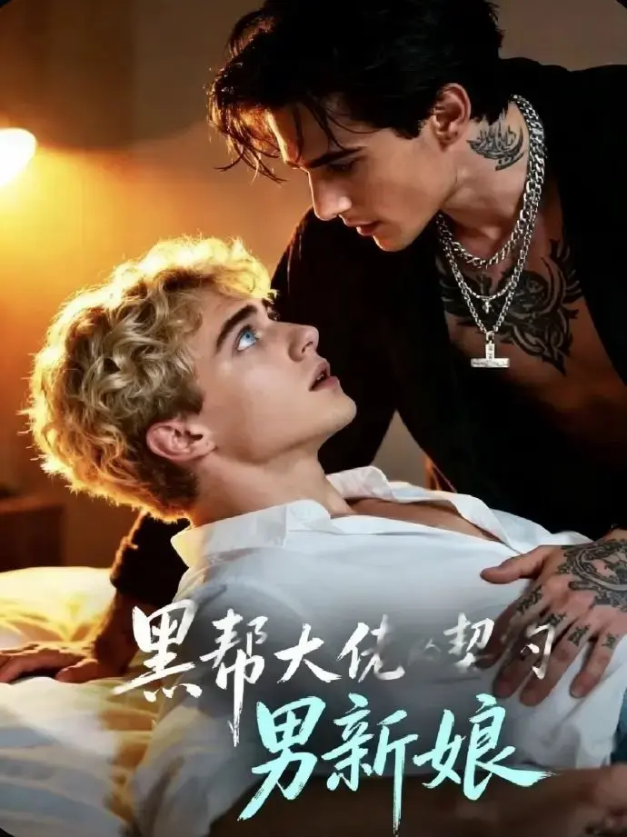 2026美剧《黑帮老大的契约男新娘》全1-28集 - 1080P免费在线看 - VS影院双男主短剧下载