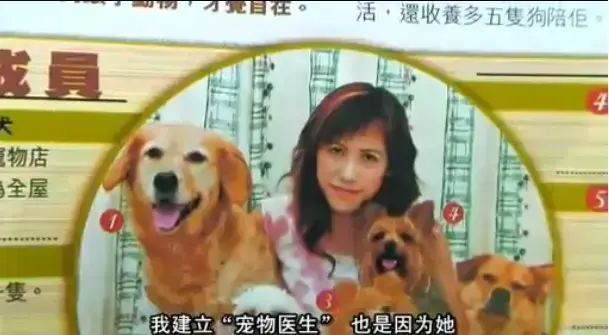 《女人与狗》高清1080P免费播放无删减正片-欧美大片《女人与狗》中字全集在线看-网盘下载无广告超清观影