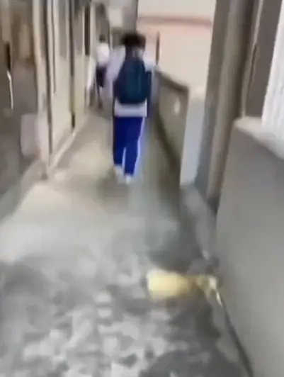 《大昌市第七中学》教室走廊惊现诡异身影，4K修复画质无广告免费播放，分享《大昌市第七中学》调查档案，直接在线看！
