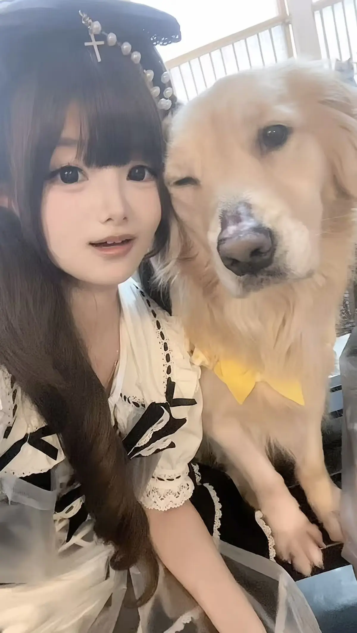 《金毛小蛋糕海鲜事件》全季资源，无广告在线观看，聚焦金毛小蛋糕与海鲜事件，在香香公主的故事里感受精彩！