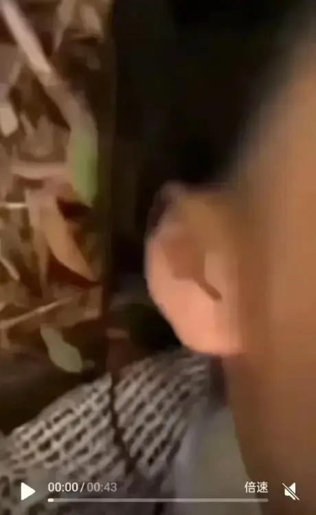 免费看《女轻奢事件》，感受轻奢事件热度，双人大战刺激不断，校园轻奢男孩与轻奢二人组的精彩剧情全收录！