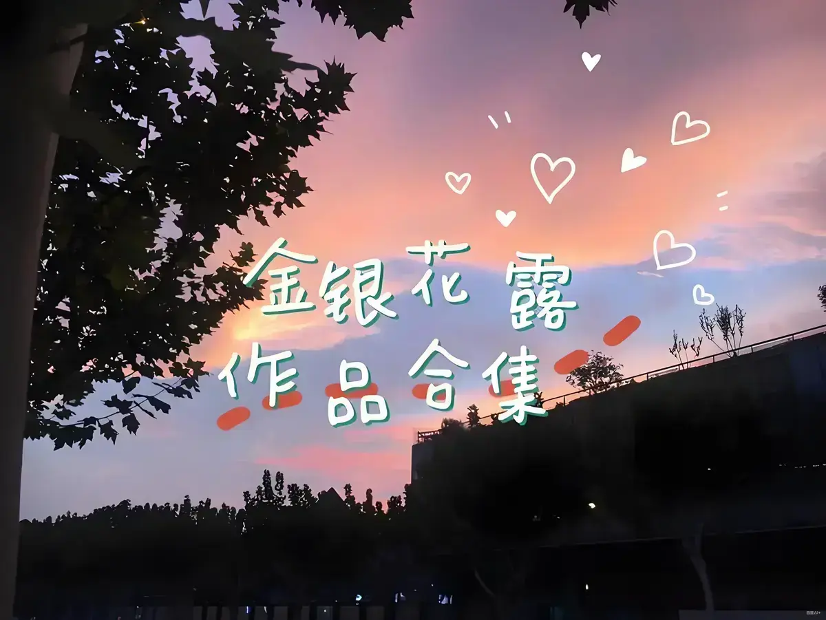 免费获取《金银花露的所有书》资源 - 乐可情节不容错过 - 感受困苦人生路的跌宕 - 1080P高清画质