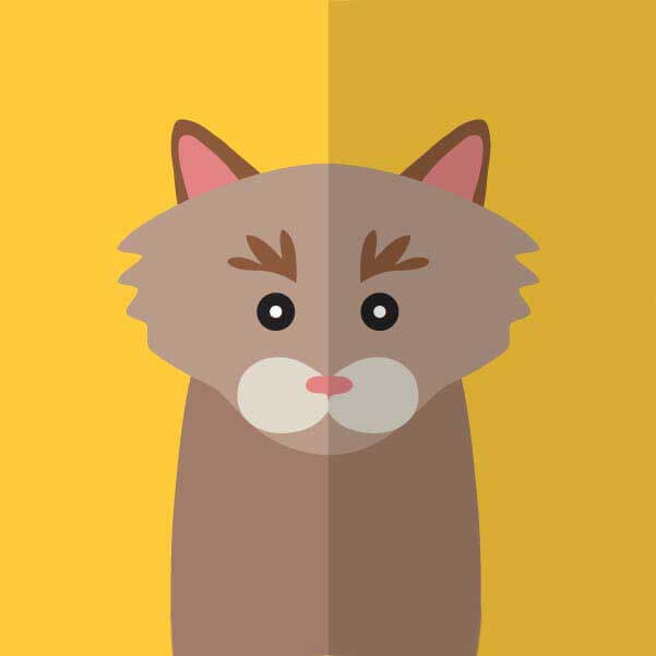 《黑暗教室》相关资源图片