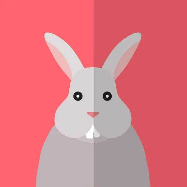 2025韩剧《性课程》全集高清免费在线观看-《性课程》高清完整版无广告1080P在线观看